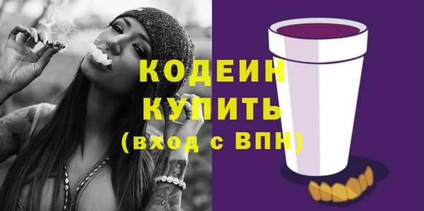 гидра Арсеньев