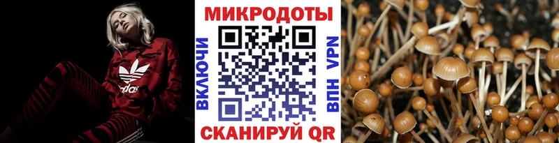 Галлюциногенные грибы GOLDEN TEACHER  Архангельск 