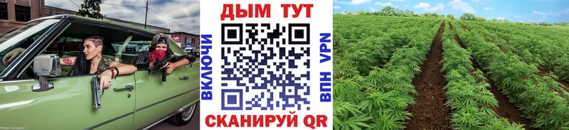 ОМГ ОМГ онион  Архангельск  Каннабис Bruce Banner 